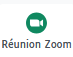 R&eacute;union Zoom