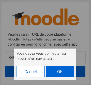Ecran connexion navigateur par l'application mobile